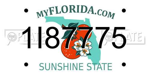 1I87775 Florida License Plate