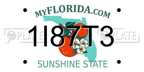 1I87T3 Florida License Plate