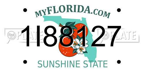 1I88127 Florida License Plate