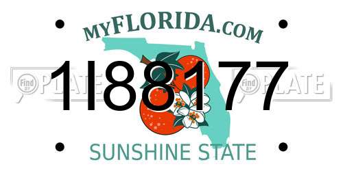1I88177 Florida License Plate