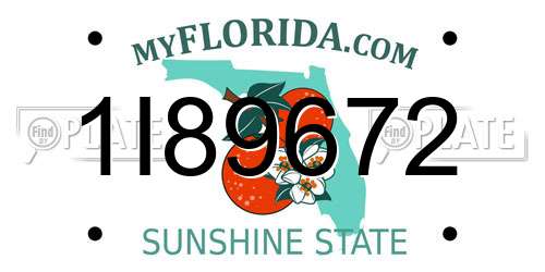 1I89672 Florida License Plate