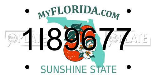 1I89677 Florida License Plate