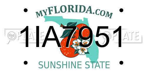 1IA7951 Florida License Plate