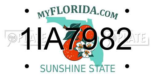 1IA7982 Florida License Plate