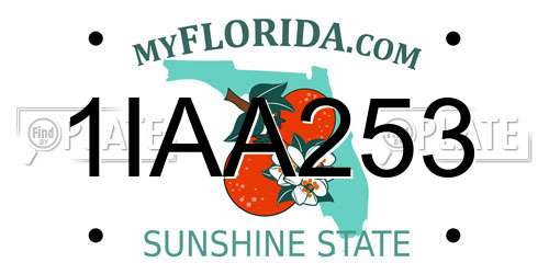 1IAA253 Florida License Plate