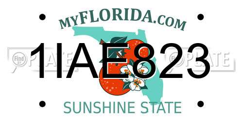 1IAE823 Florida License Plate
