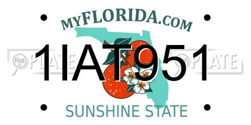 1IAT951 Florida License Plate