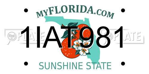 1IAT981 Florida License Plate