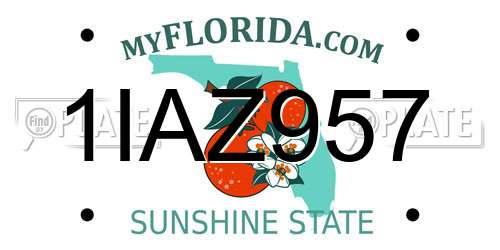 1IAZ957 Florida License Plate