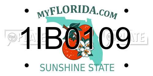 1IB0109 Florida License Plate