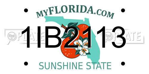 1IB2113 Florida License Plate