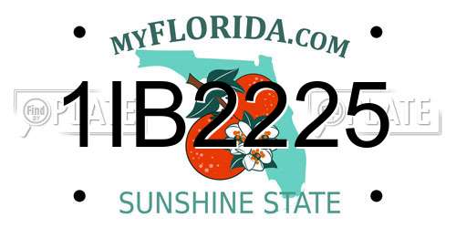1IB2225 Florida License Plate