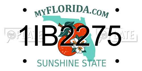 1IB2275 Florida License Plate