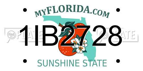 1IB2728 Florida License Plate