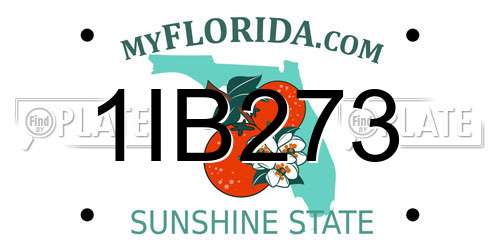 1IB273 Florida License Plate