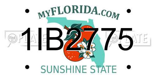 1IB2775 Florida License Plate