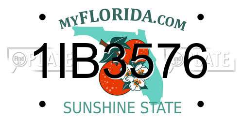 1IB3576 Florida License Plate