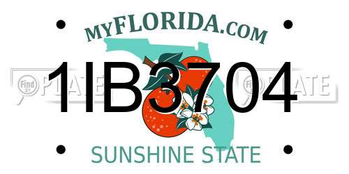 1IB3704 Florida License Plate