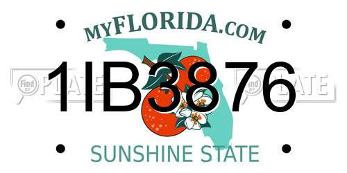 1IB3876 Florida License Plate