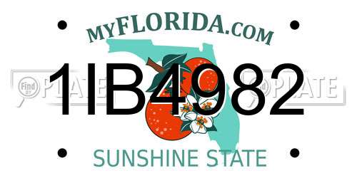 1IB4982 Florida License Plate
