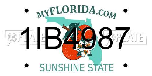 1IB4987 Florida License Plate