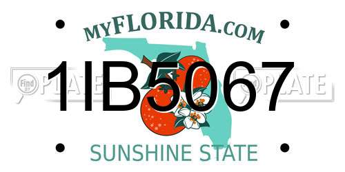 1IB5067 Florida License Plate