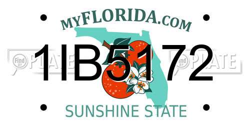 1IB5172 Florida License Plate