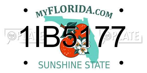1IB5177 Florida License Plate