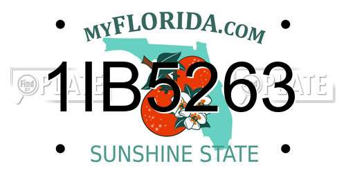1IB5263 Florida License Plate