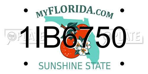 1IB6750 Florida License Plate