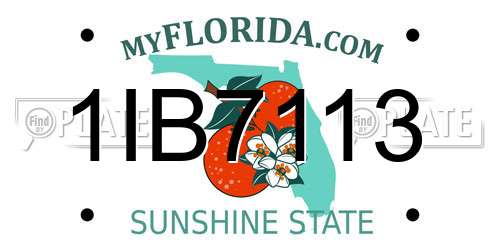1IB7113 Florida License Plate