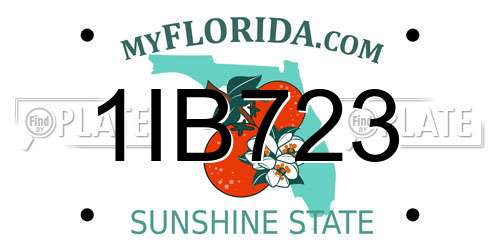 1IB723 Florida License Plate