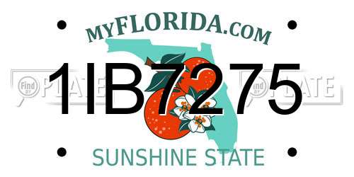 1IB7275 Florida License Plate