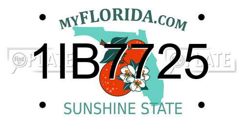 1IB7725 Florida License Plate