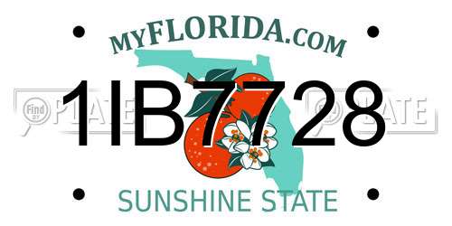 1IB7728 Florida License Plate