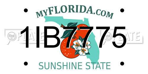 1IB7775 Florida License Plate