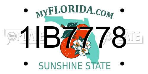 1IB7778 Florida License Plate
