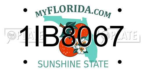 1IB8067 Florida License Plate