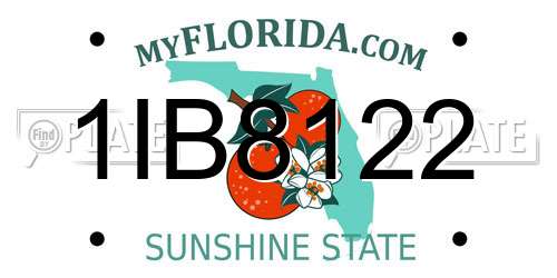 1IB8122 Florida License Plate