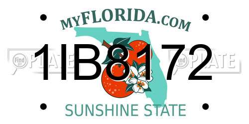 1IB8172 Florida License Plate