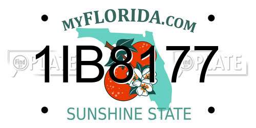 1IB8177 Florida License Plate