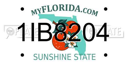 1IB8204 Florida License Plate