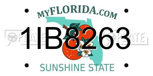 1IB8263 Florida License Plate