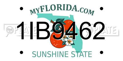 1IB9462 Florida License Plate