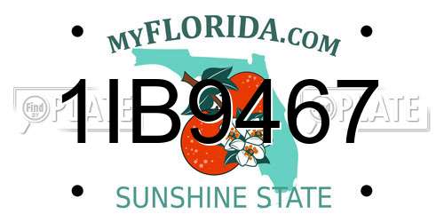 1IB9467 Florida License Plate