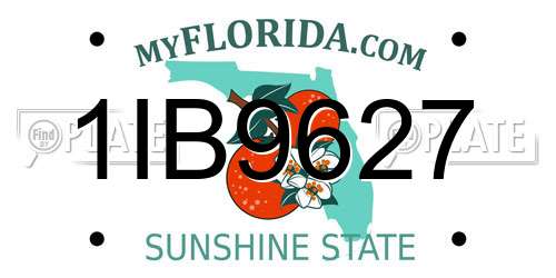 1IB9627 Florida License Plate