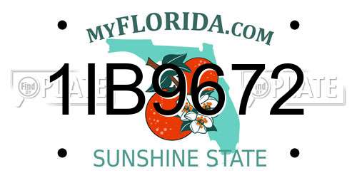 1IB9672 Florida License Plate