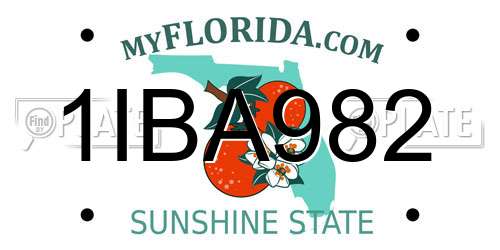 1IBA982 Florida License Plate