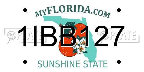 1IBB127 Florida License Plate