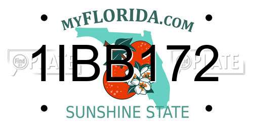 1IBB172 Florida License Plate